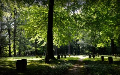 Things to consider when choosing a cemetery for a funeral